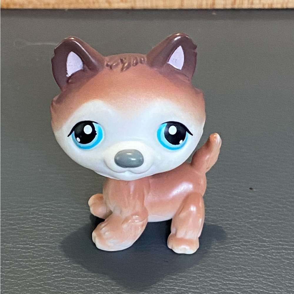 Littlest Pet Shop Brown and White #68 Husky Dog